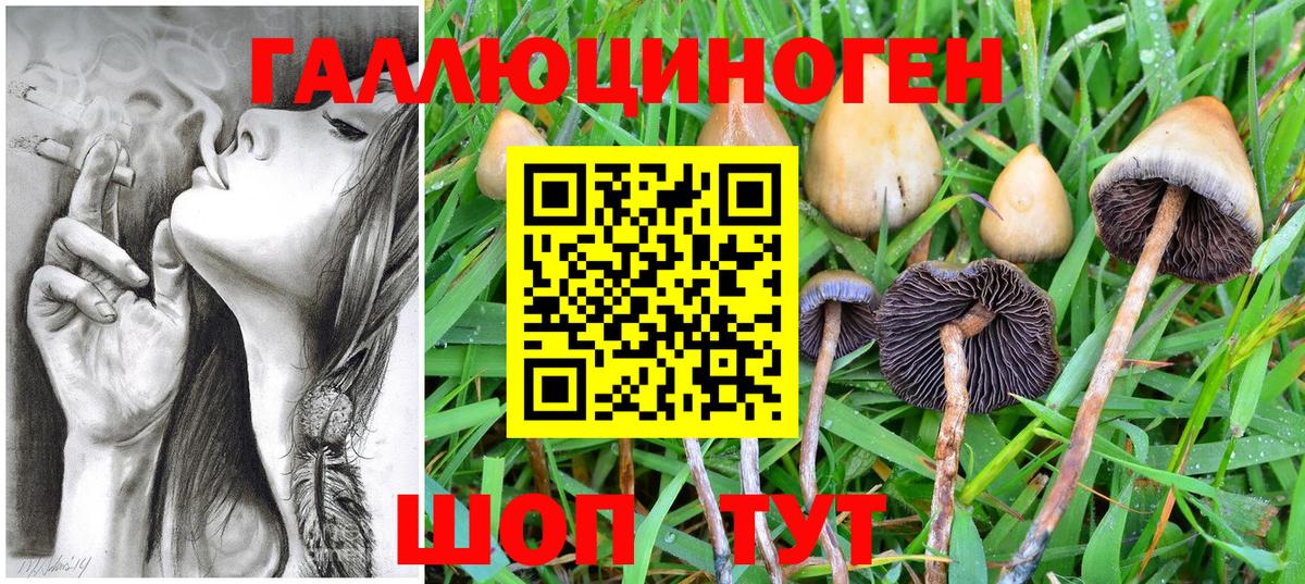 Котельники  Псилоцибиновые грибы MAGIC MUSHROOMS  Вход с VPN  Галлюциногенные грибы Psilocybe 